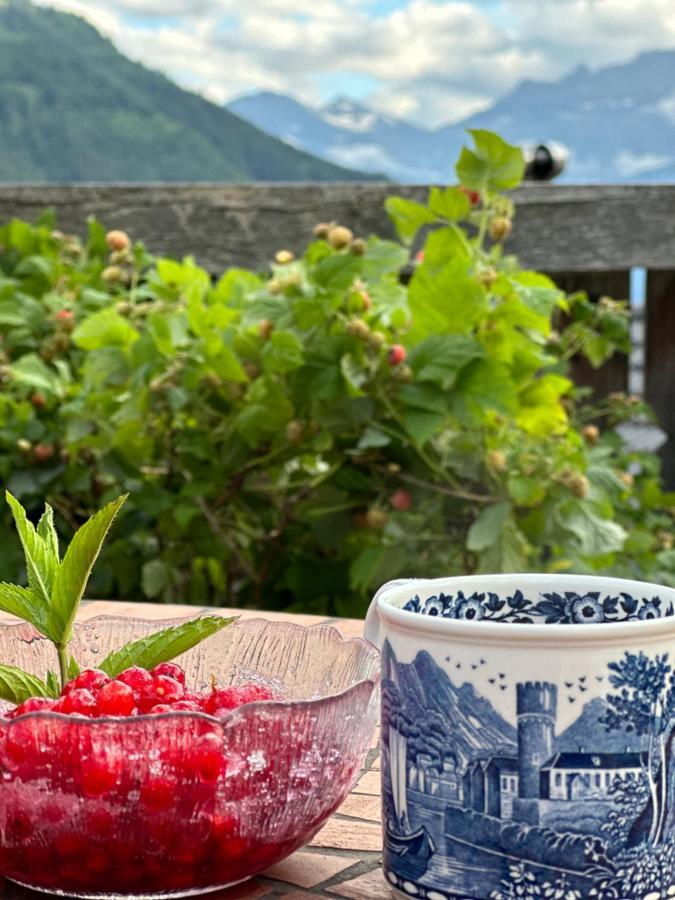Chalet Rayon De Soleil Gryon Villars Eksteriør bilde